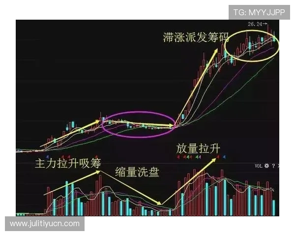 柠檬体育如何帮助用户分析比赛走势，做出更科学的投注决策